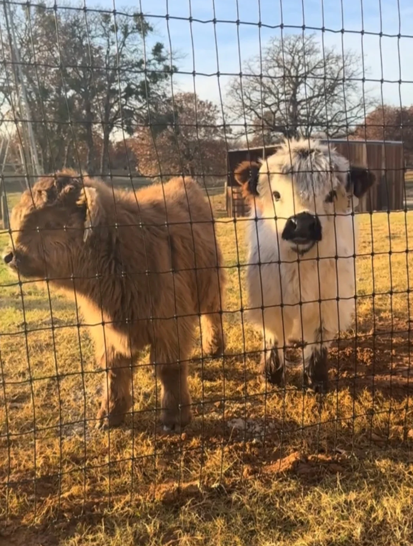 Notre ferme en photos