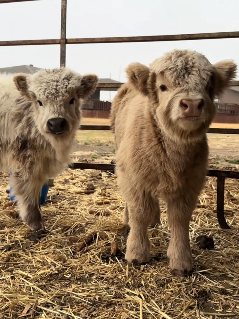 Notre ferme en photos