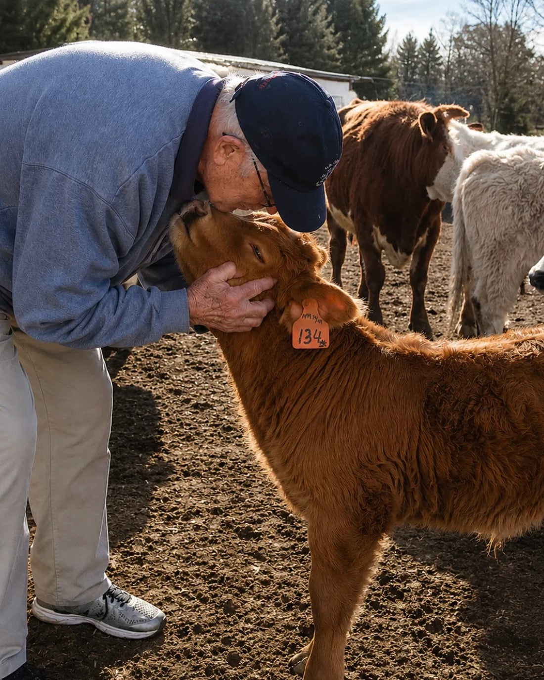 Chaque peluche part avec son certificat d'adoption